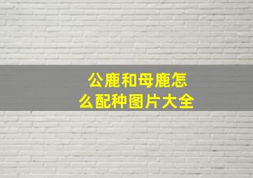 公鹿和母鹿怎么配种图片大全