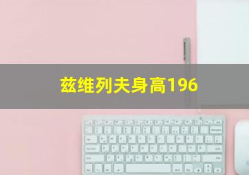 兹维列夫身高196