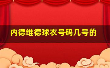 内德维德球衣号码几号的