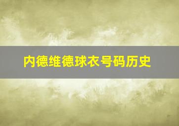 内德维德球衣号码历史