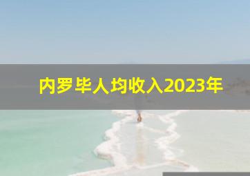 内罗毕人均收入2023年