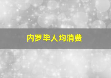 内罗毕人均消费