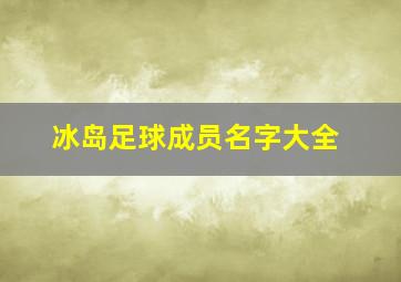 冰岛足球成员名字大全