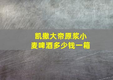 凯撒大帝原浆小麦啤酒多少钱一箱