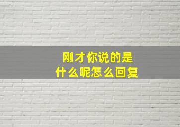 刚才你说的是什么呢怎么回复