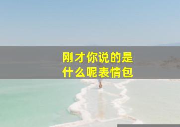 刚才你说的是什么呢表情包