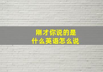 刚才你说的是什么英语怎么说