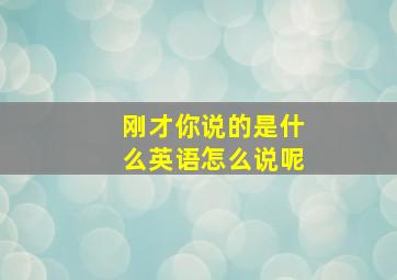 刚才你说的是什么英语怎么说呢