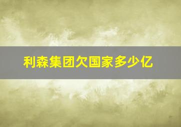 利森集团欠国家多少亿