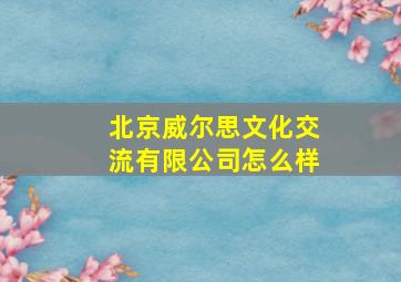 北京威尔思文化交流有限公司怎么样