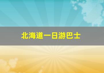 北海道一日游巴士