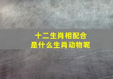 十二生肖相配合是什么生肖动物呢