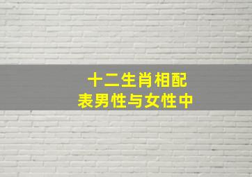 十二生肖相配表男性与女性中