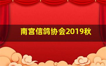 南宫信鸽协会2019秋