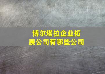 博尔塔拉企业拓展公司有哪些公司