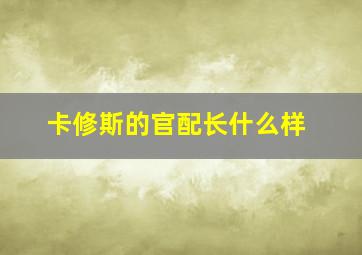 卡修斯的官配长什么样