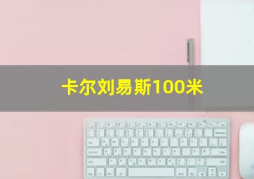 卡尔刘易斯100米