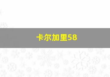 卡尔加里58