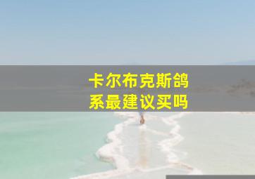 卡尔布克斯鸽系最建议买吗