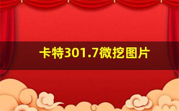 卡特301.7微挖图片