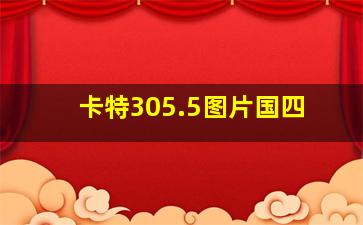 卡特305.5图片国四