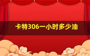 卡特306一小时多少油