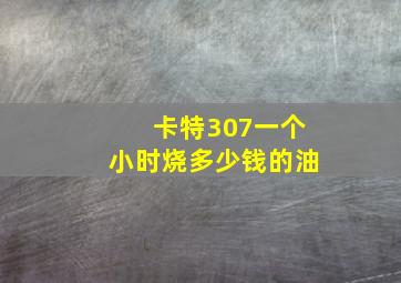 卡特307一个小时烧多少钱的油