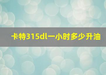 卡特315dl一小时多少升油