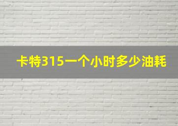 卡特315一个小时多少油耗