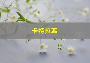 卡特拉菲