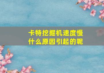 卡特挖掘机速度慢什么原因引起的呢