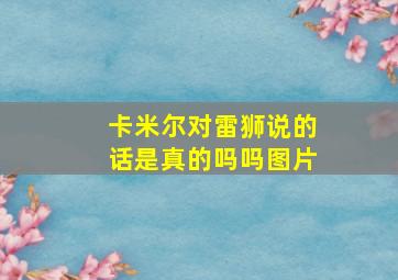 卡米尔对雷狮说的话是真的吗吗图片