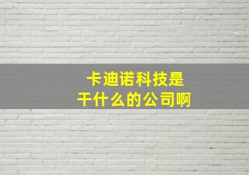 卡迪诺科技是干什么的公司啊