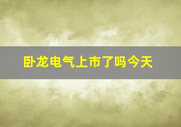 卧龙电气上市了吗今天