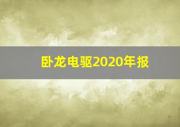 卧龙电驱2020年报