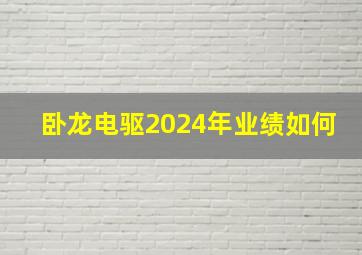 卧龙电驱2024年业绩如何