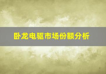 卧龙电驱市场份额分析