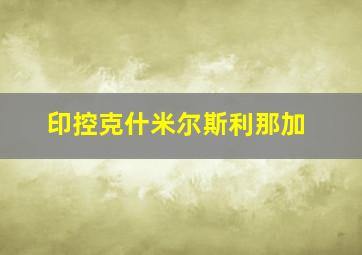 印控克什米尔斯利那加