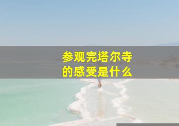 参观完塔尔寺的感受是什么