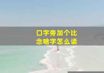 口字旁加个比念啥字怎么读