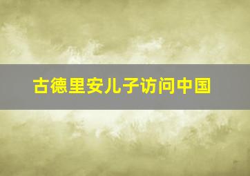 古德里安儿子访问中国