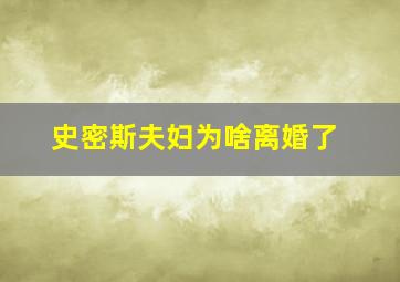 史密斯夫妇为啥离婚了