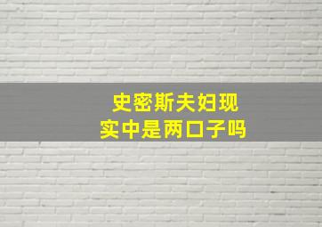 史密斯夫妇现实中是两口子吗