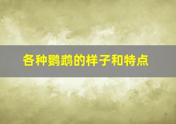 各种鹦鹉的样子和特点