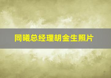 同曦总经理胡金生照片