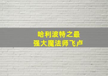 哈利波特之最强大魔法师飞卢