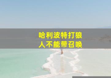 哈利波特打狼人不能带召唤