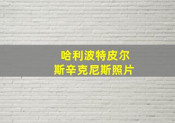 哈利波特皮尔斯辛克尼斯照片