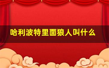 哈利波特里面狼人叫什么