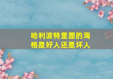 哈利波特里面的海格是好人还是坏人